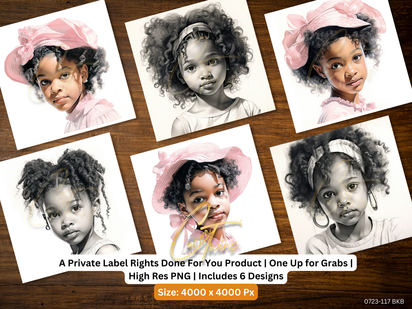 0823-117-BKB | PLR Art Upscaled | One Buyer. Zero Restrictions | Bonus - See Description