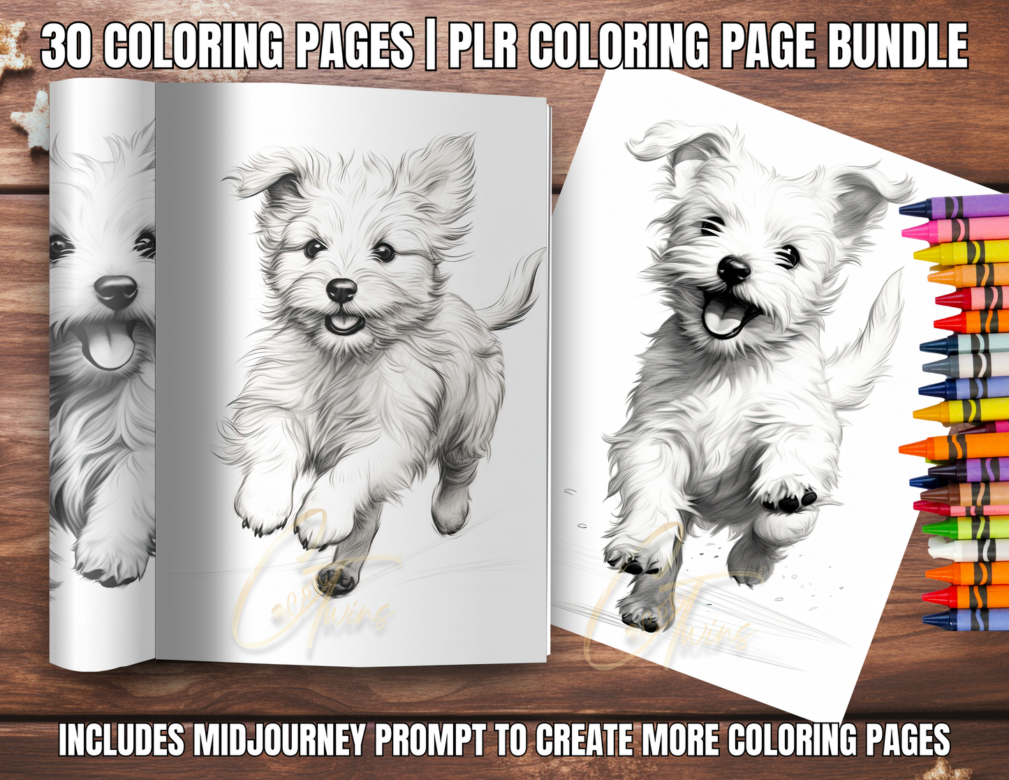 001-BKB | PLR Coloring Pages, Prompt and a Bot | Pre-Black Friday Special for Small Business Owners