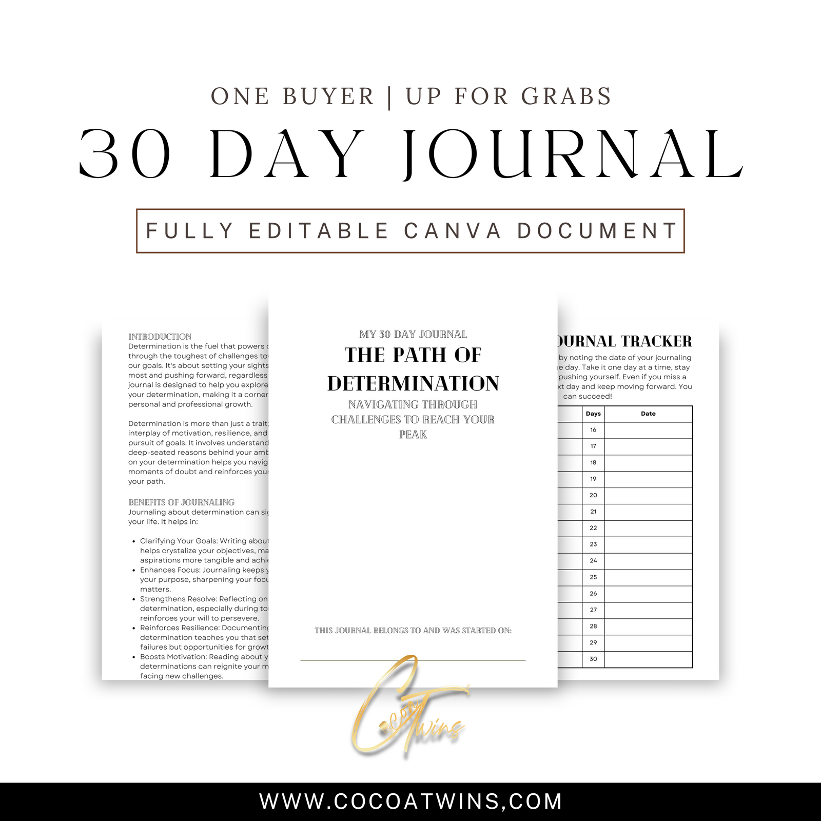 The Path of Determination - Navigating Through Challenges to Reach Your Peak - EB | One Buyer 30 Day Prompt Journal