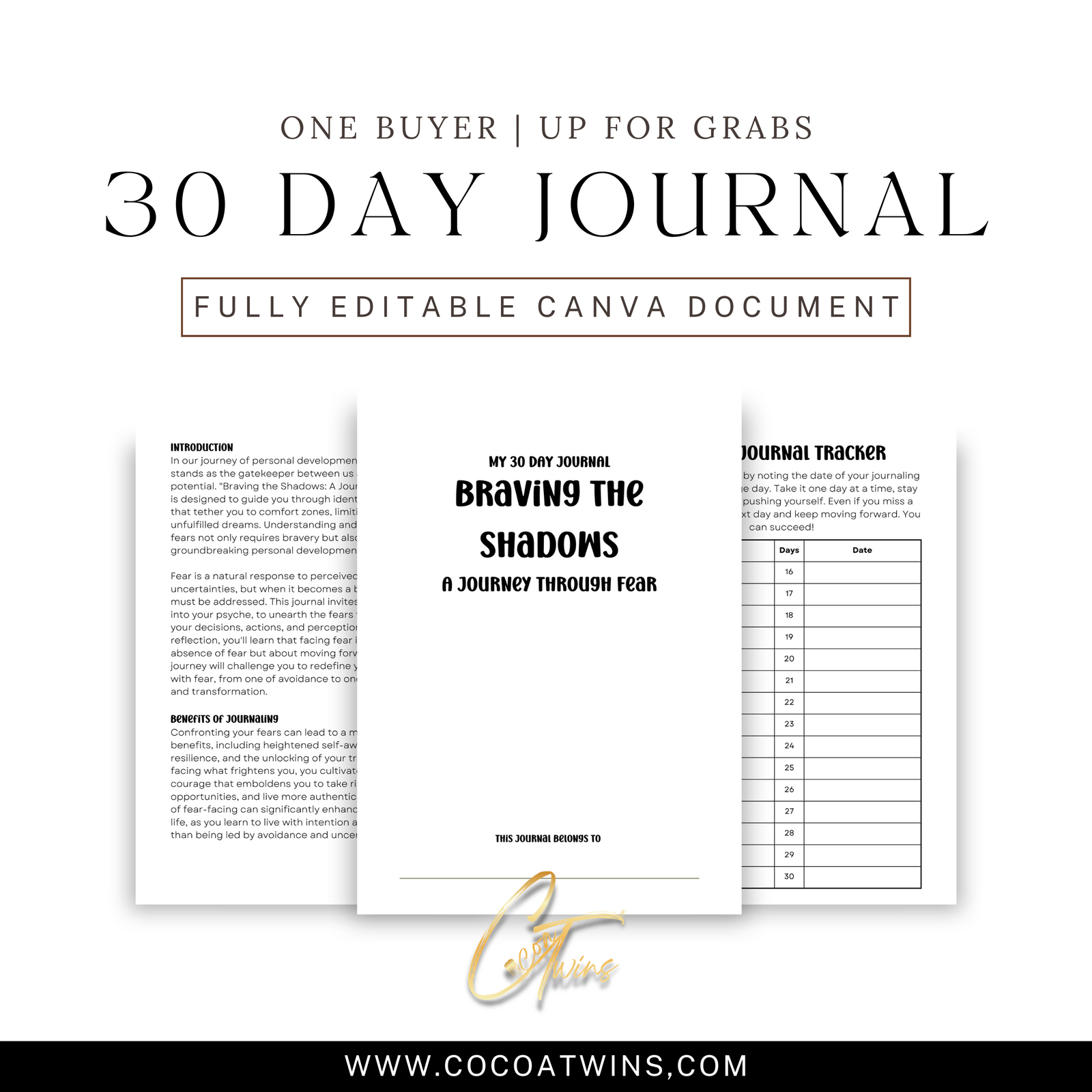 Braving the Shadows - A Journey Through Fear - EB | One Buyer 30 Day Prompt Journal