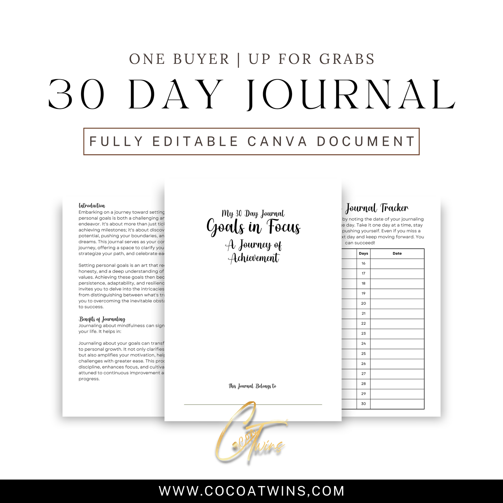 Goals in Focus - A Journey of Achievement - EB | One Buyer 30 Day Prompt Journal