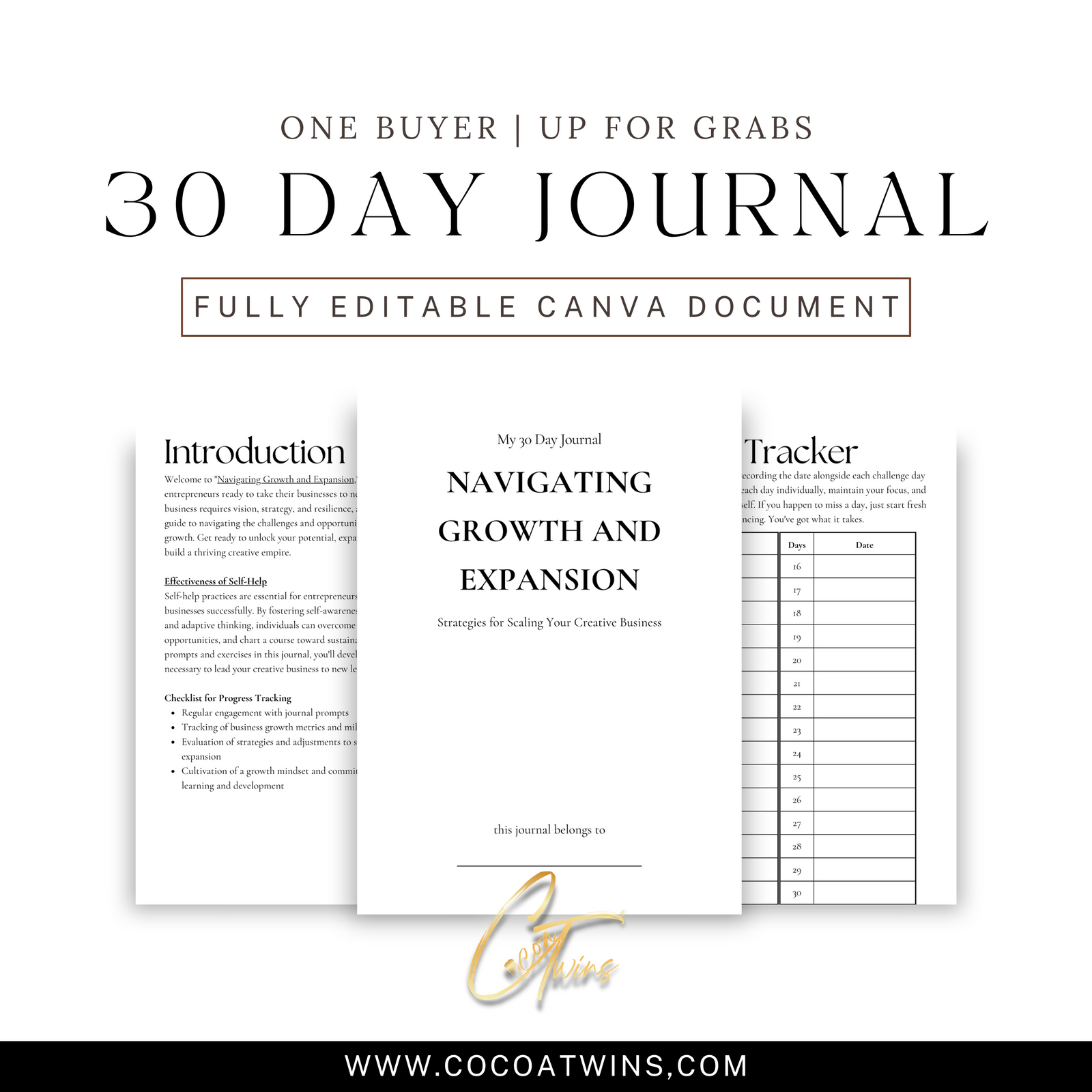 Navigating Growth and Expansion - Strategies for Scaling Your Creative Business | One Buyer 30 Day Prompt Journal