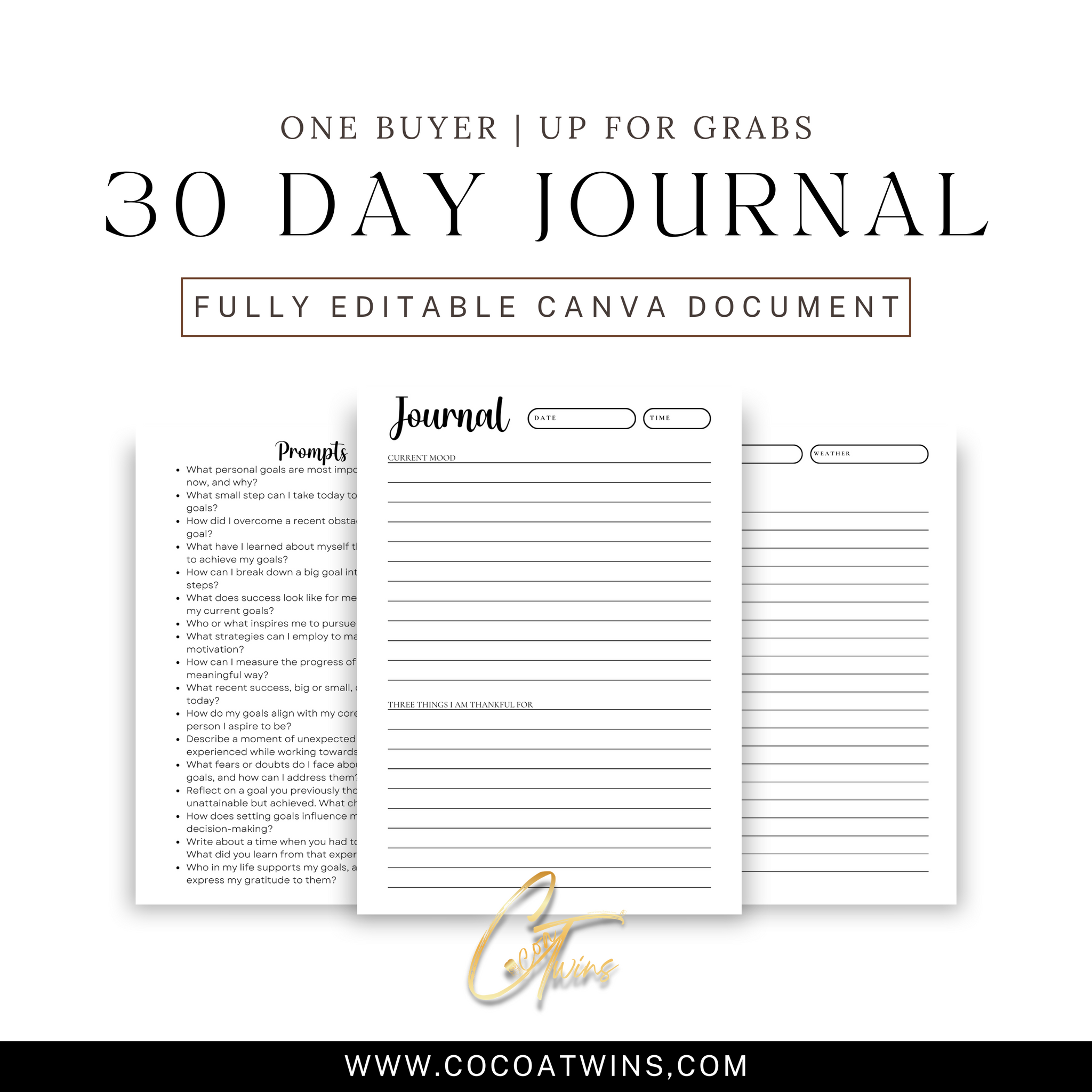 Goals in Focus - A Journey of Achievement - EB | One Buyer 30 Day Prompt Journal