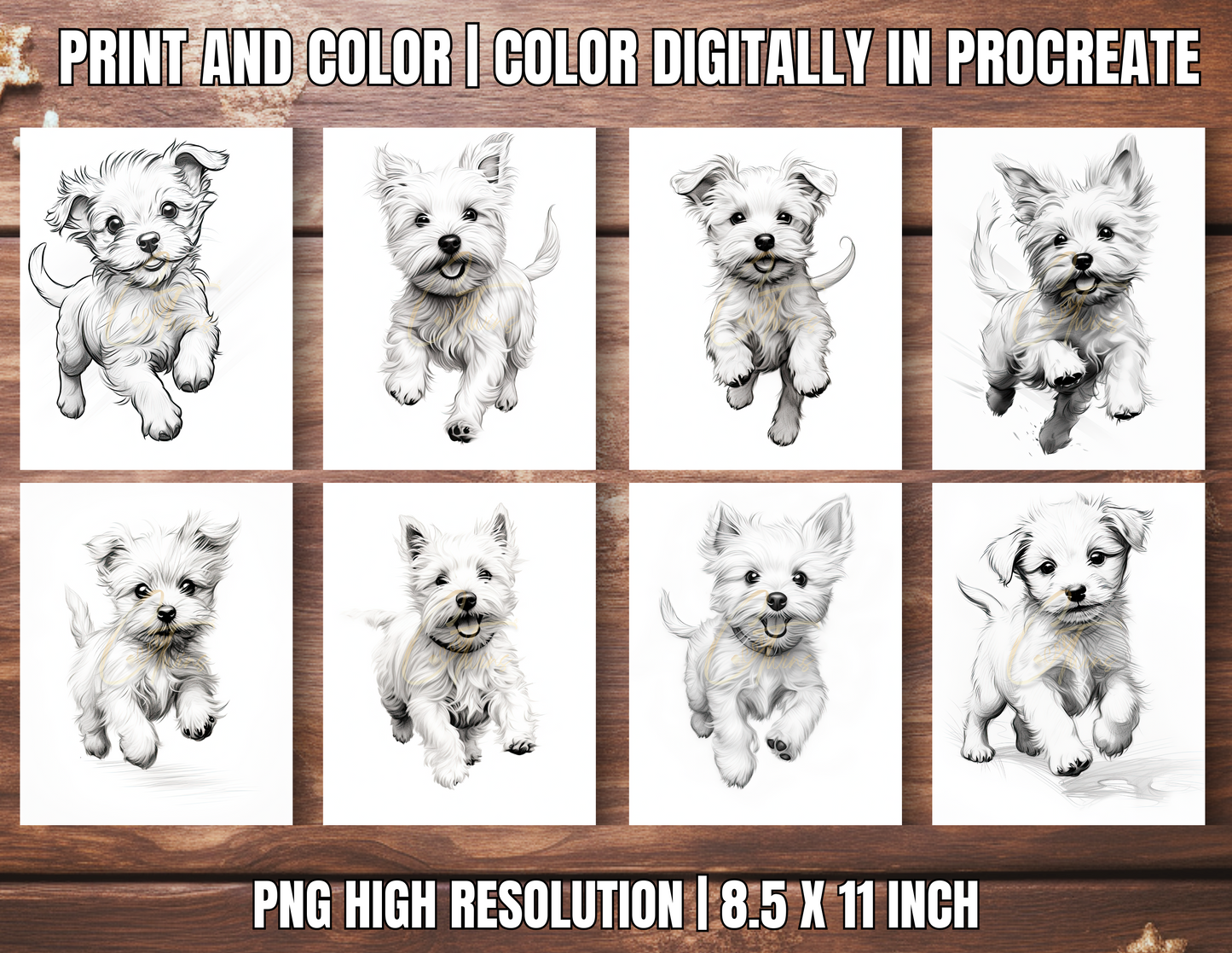 001-BKB | PLR Coloring Pages, Prompt and a Bot | Pre-Black Friday Special for Small Business Owners