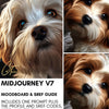 MidJourney Prompt Kit | 02