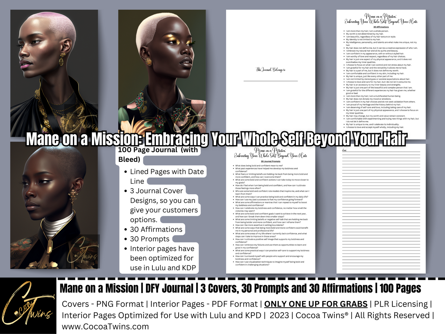 PLR Journal - Mane on a Mission - Embracing Your Whole Self Beyond Your Hair