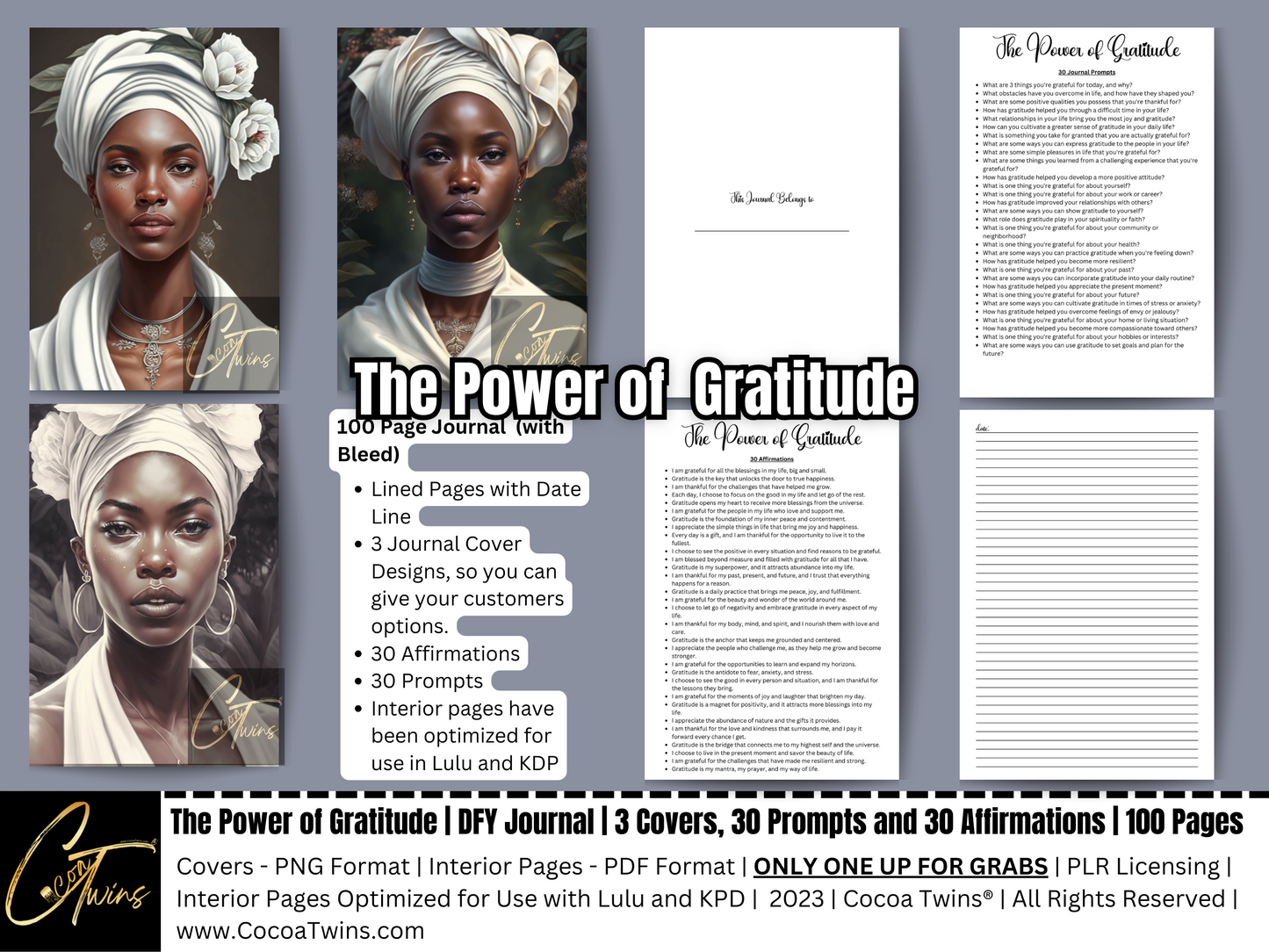 PLR Journal - The Power of Gratitude