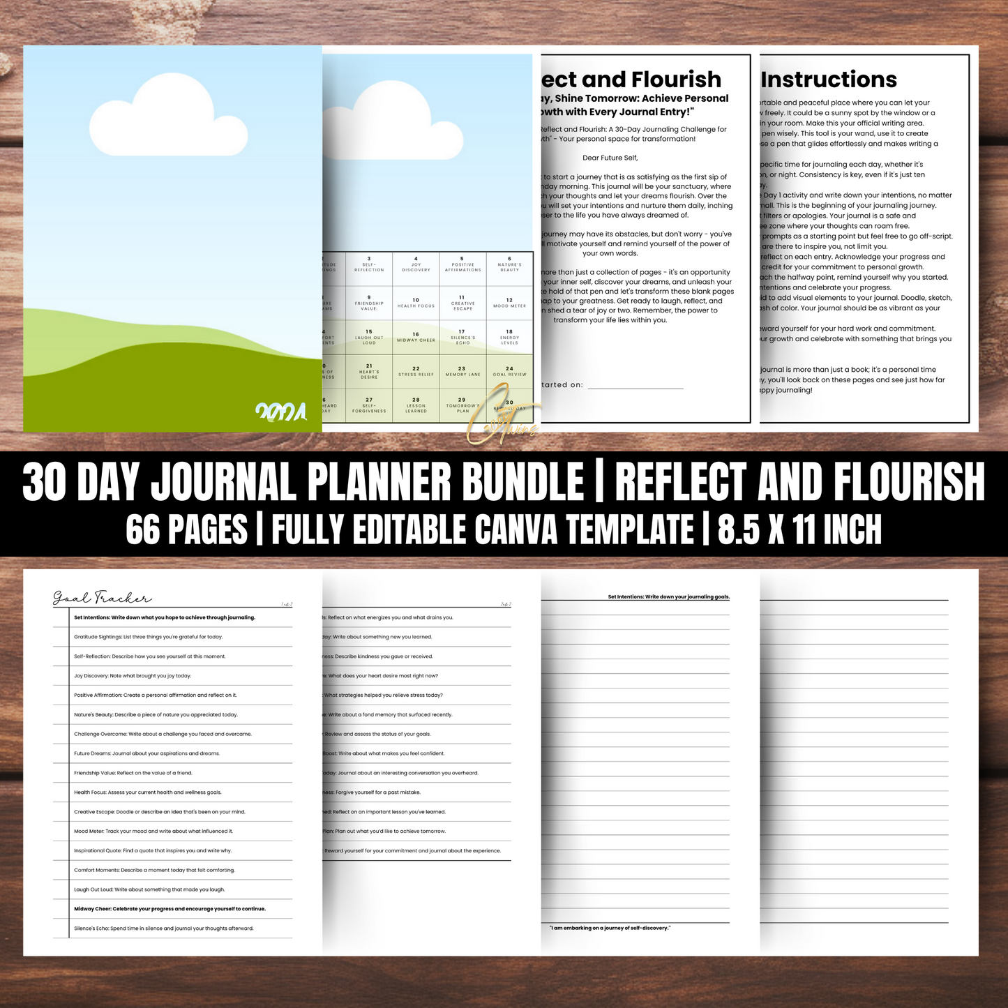 Printable 30-Day Guided Journal and Planner | Reflect and Flourish - (PLR Printable and Digital Download Product)