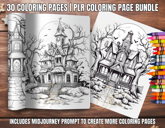 001 | PLR Coloring Pages, Prompt and a Bot | Pre-Black Friday Special for Small Business Owners